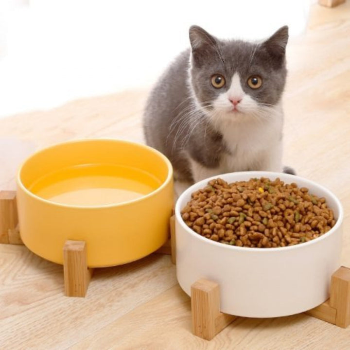 Unisex ceramic pet bowl with wooden stand, elevated feeder for dogs or cats, modern pet accessory