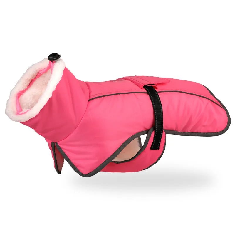 Outdoor dog gear: cozy winter vest, blue, waterproof fabric, keeping pets warm in snowy conditions