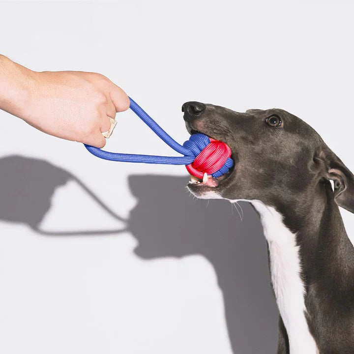 Unisex Color Clash Knotted Rope Tug Toy for Dogs, durable chew and play