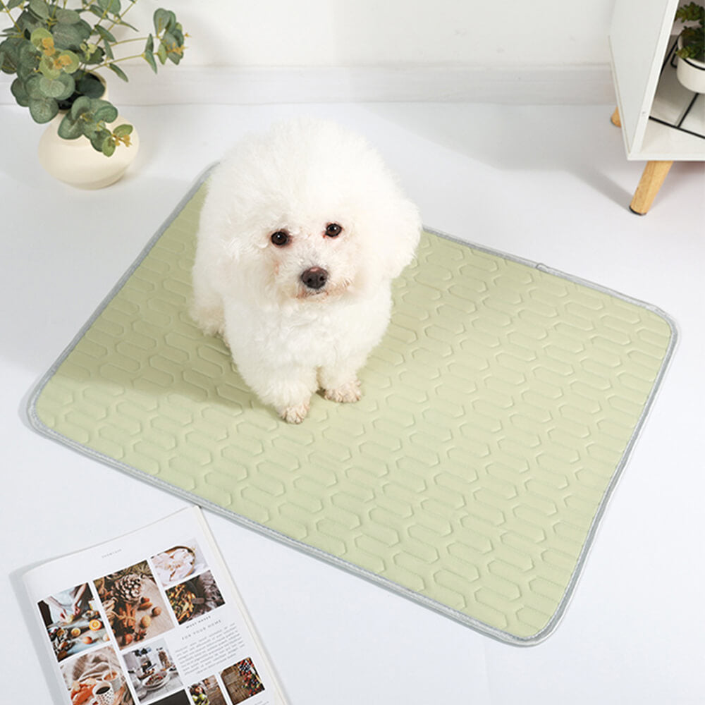 Pet cooling mat in blue, icy silk fabric for comfortable summer use, dog and cat bed
