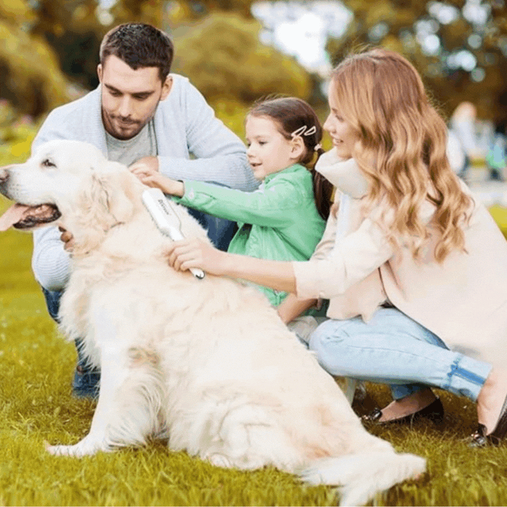 Unisex cordless electric pet massage & grooming brush for dogs & cats, shedding tool, pet care