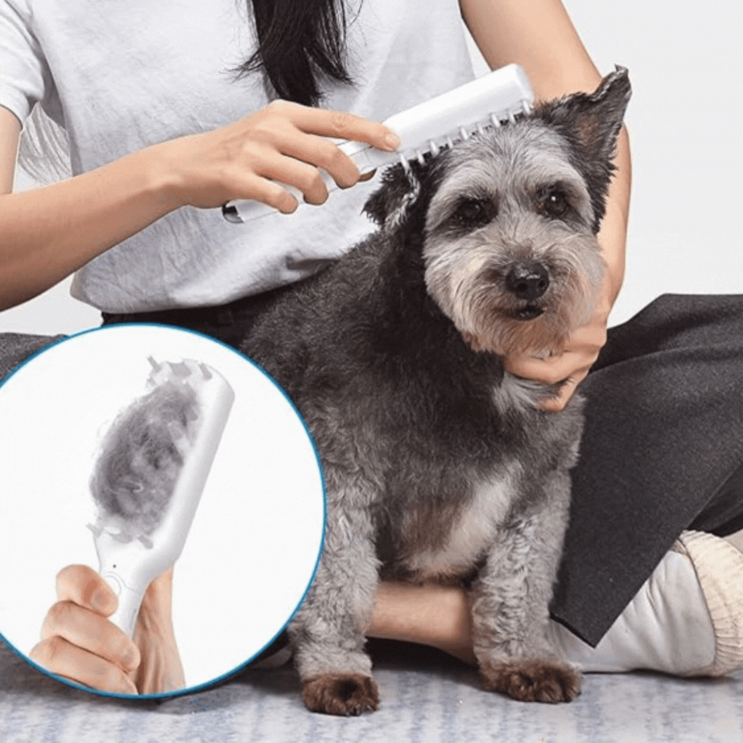 Electric pet grooming brush with ergonomic handle for dog and cat massage, pet care tool