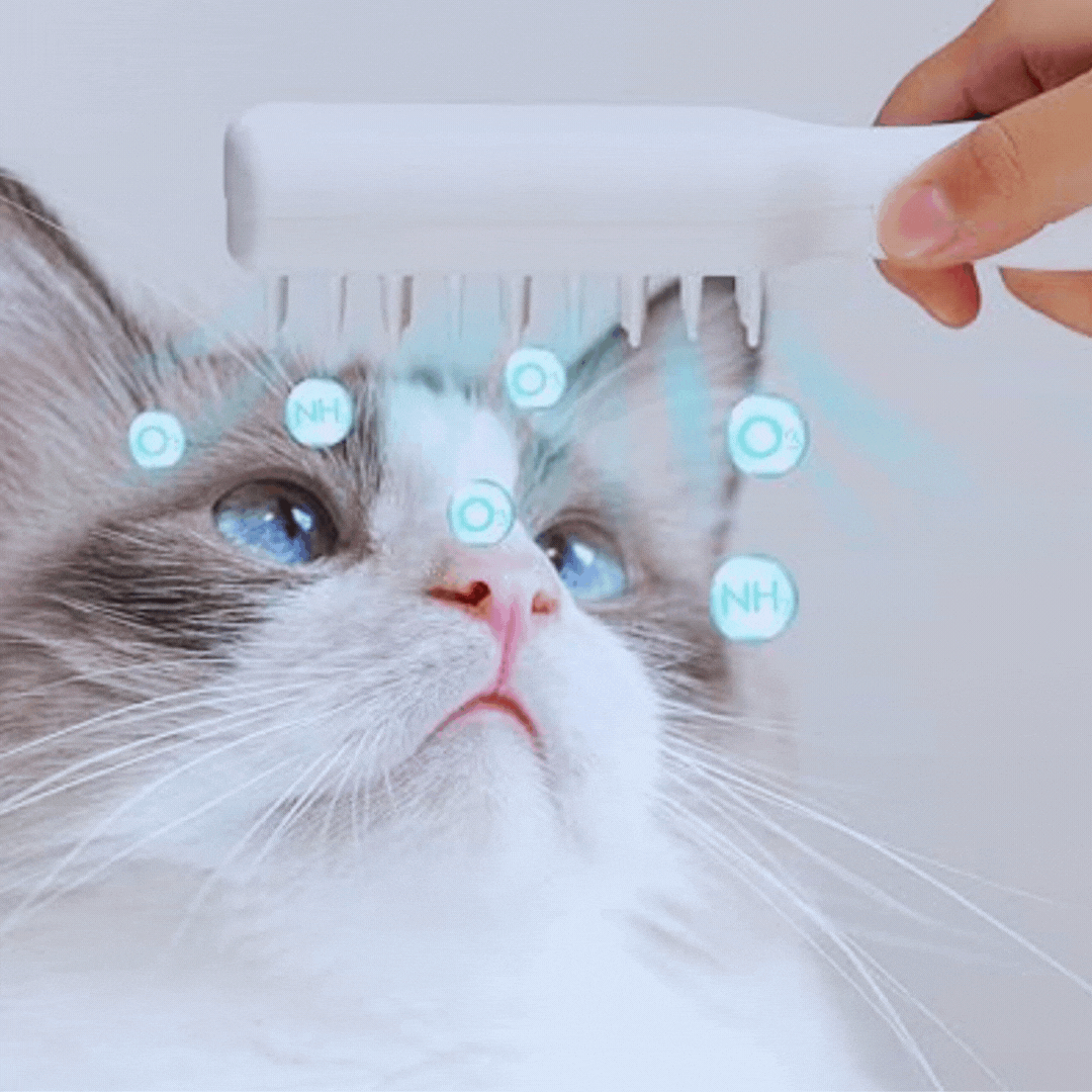 Close-up of pet electric massage brush bristles, effective shedding tool for animal grooming