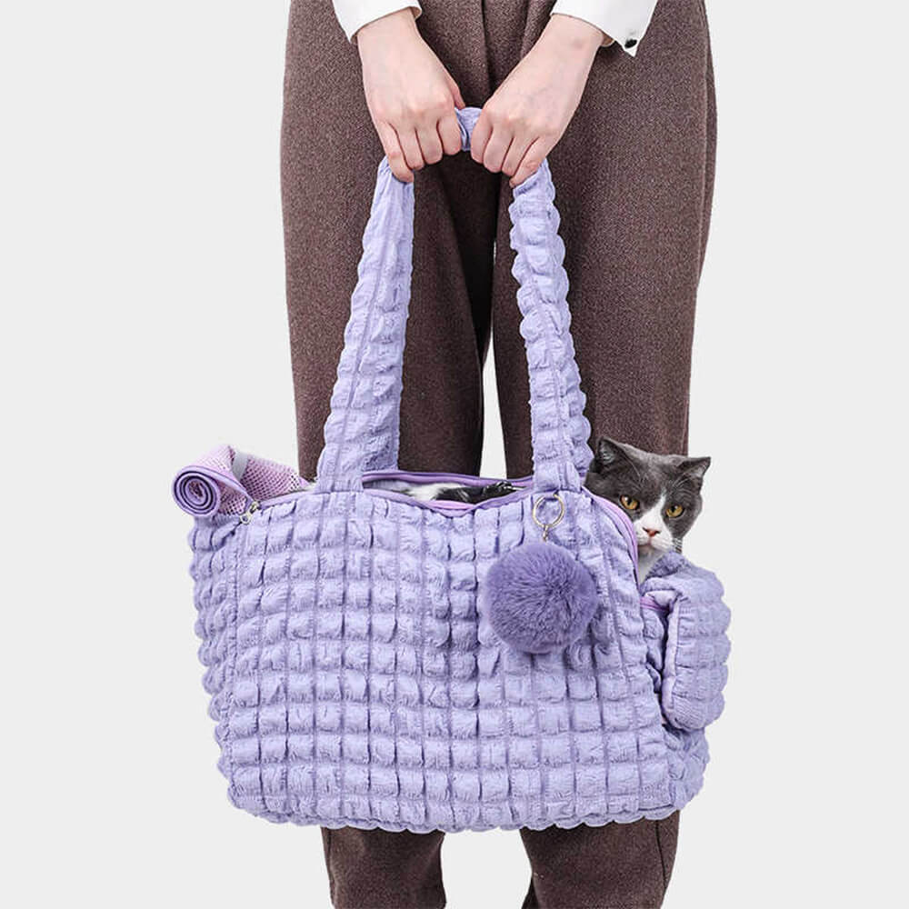 Pet accessory: shoulder dog carrier with secure zipper closure