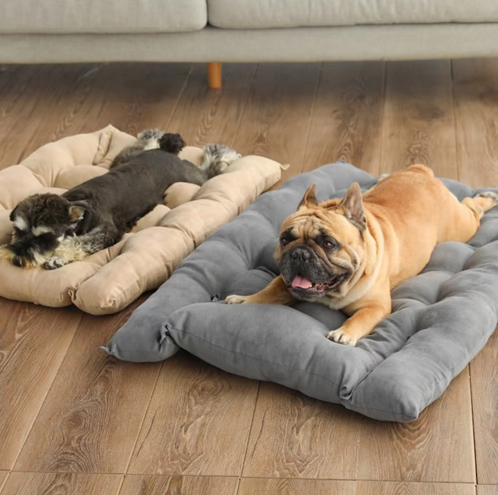 Soft gray washable pet bed with removable cushion, perfect for dog and cat comfort and care