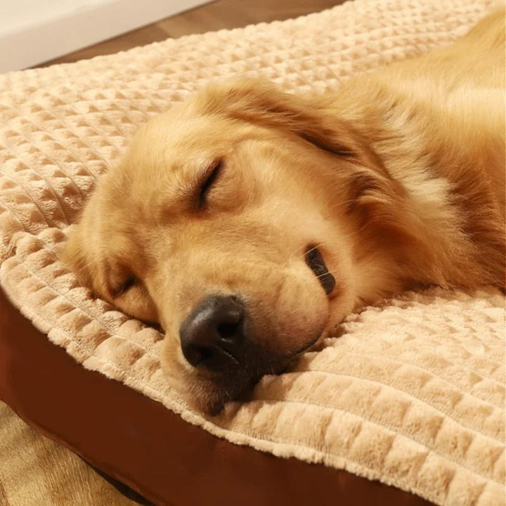 Soft gray bolster pet bed for a cat or dog, washable orthopedic cushion design
