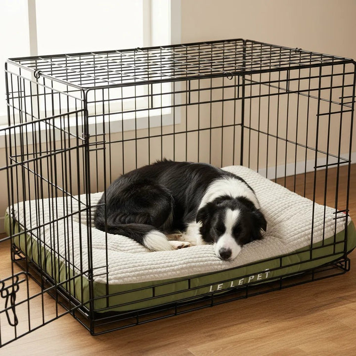 Comfortable pet bed with bolster for joint support, ideal for cats and small dogs
