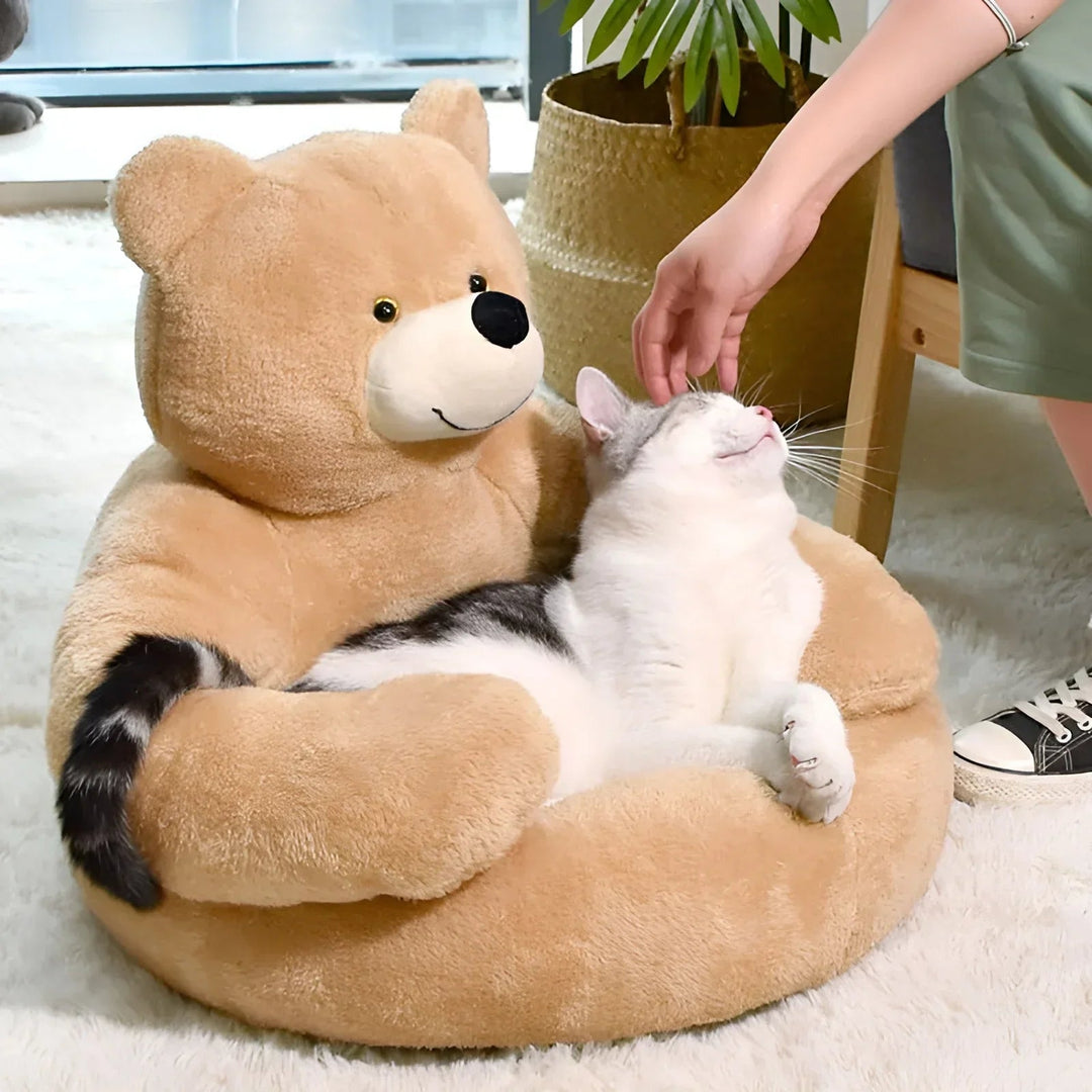 Washable teddy bear pet bed for small cats and dogs, ultimate plush comfort