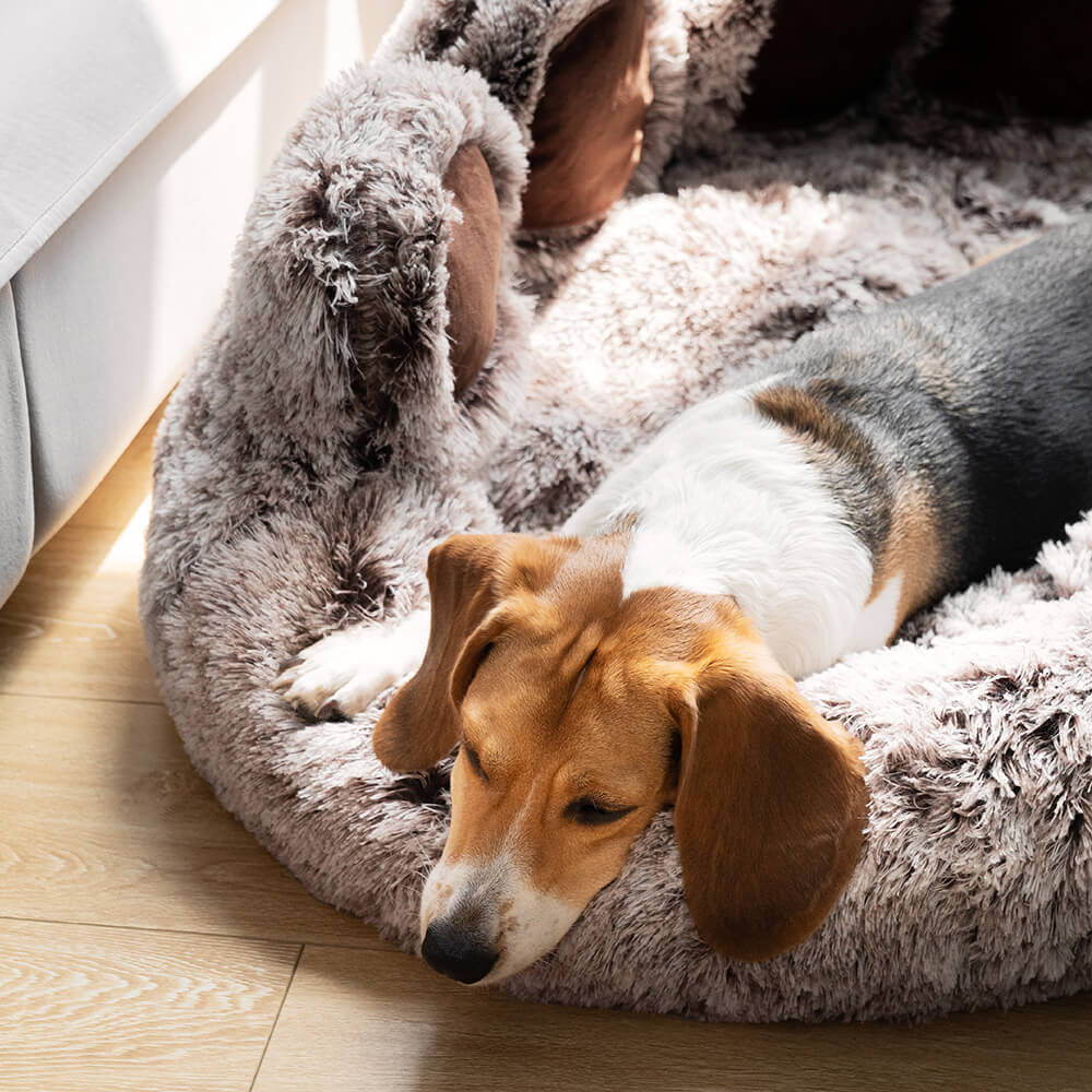 Washable pet bed, round shape, ideal for dogs and cats, promotes anxiety relief.