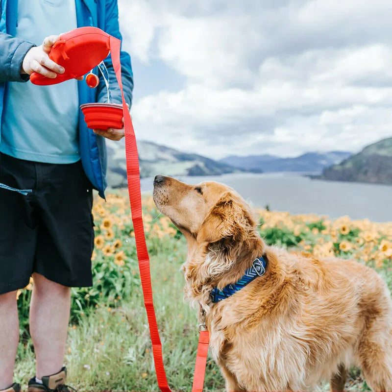Portable dog water bottle with a convenient waste bag holder, essential dog accessories for hydration on-the-go