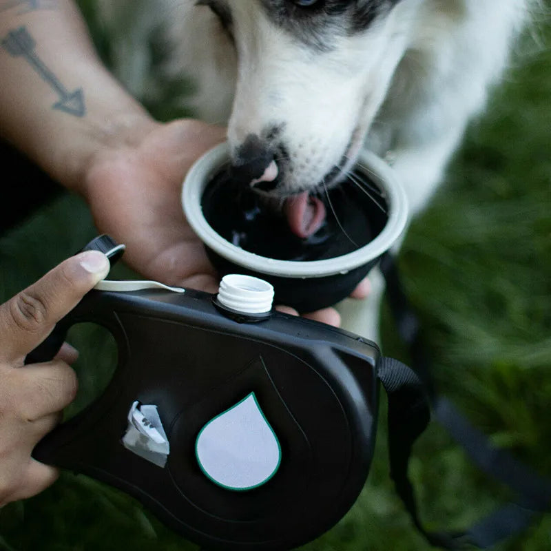 Dog walking essential: portable water bottle with integrated waste bag dispenser, ensures hydration and cleanliness