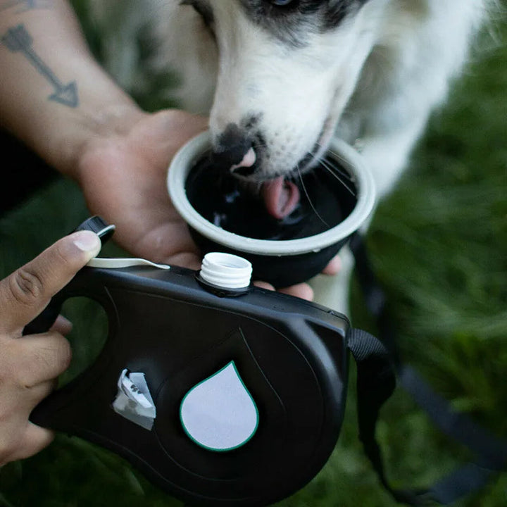 Dog walking essential: portable water bottle with integrated waste bag dispenser, ensures hydration and cleanliness