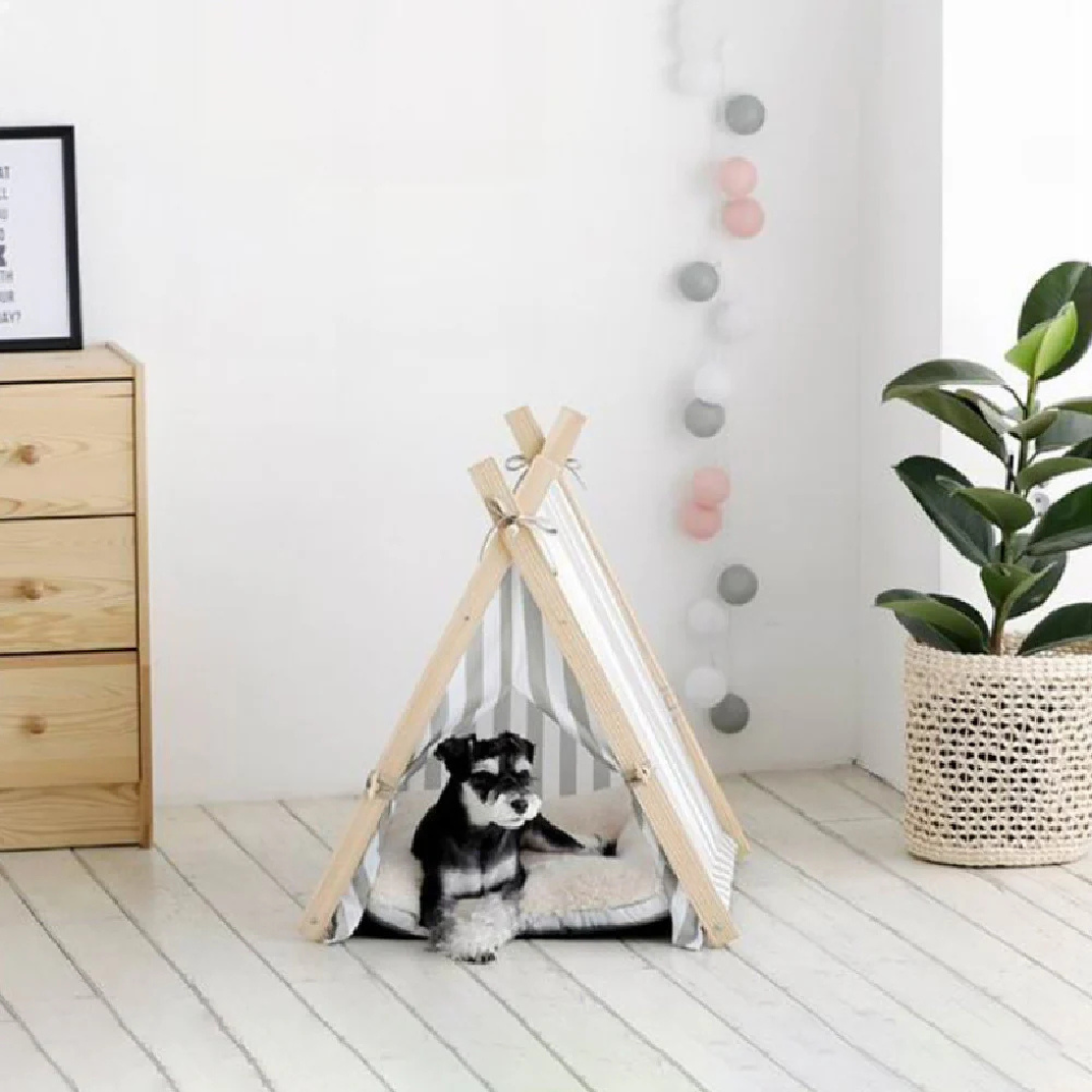 Detachable soft pet bed, ideal for small cats/dogs, with plush organic cotton comfort
