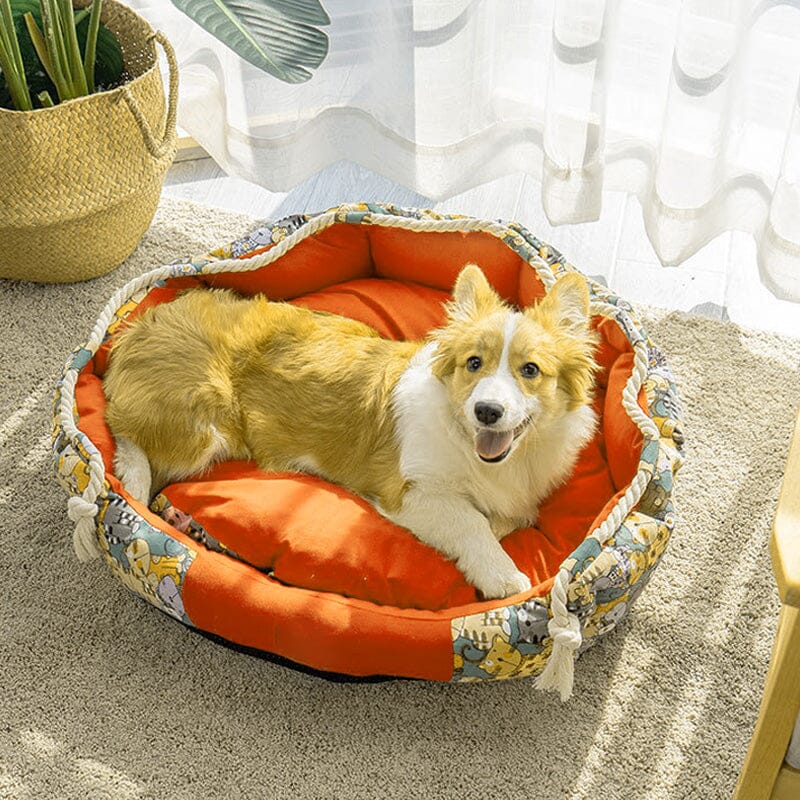 Unisex dog bed with chew toy, pocket, and comfort mat, ideal for puppy or small pet