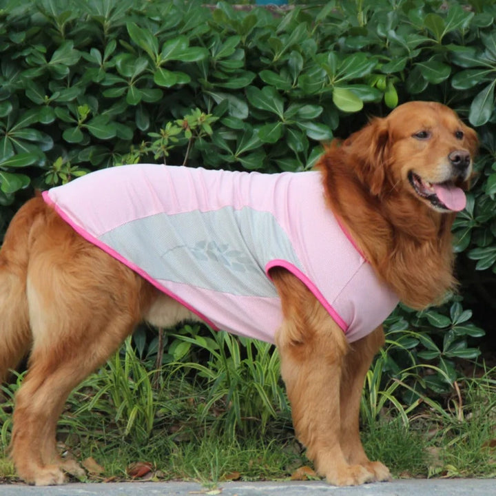 Dog cooling vest, unisex design, made from quick-dry polyester, ideal for hot weather activities.