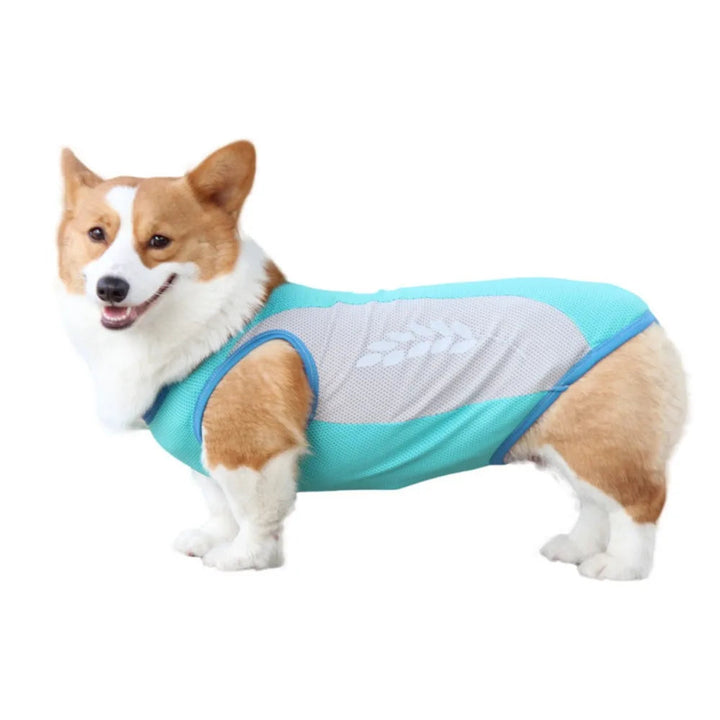 Pet apparel: cooling vest for dogs, reflective stripes, lightweight polyester for summer outdoor use.