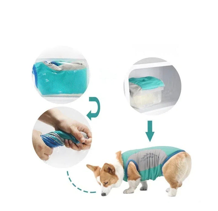 Summer dog vest: cooling technology with reflective stripes for pet safety and quick dry comfort.