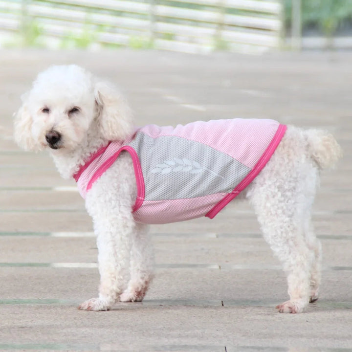 Outdoor dog gear: cooling vest with reflective detailing, comfortable and lightweight for all breeds.