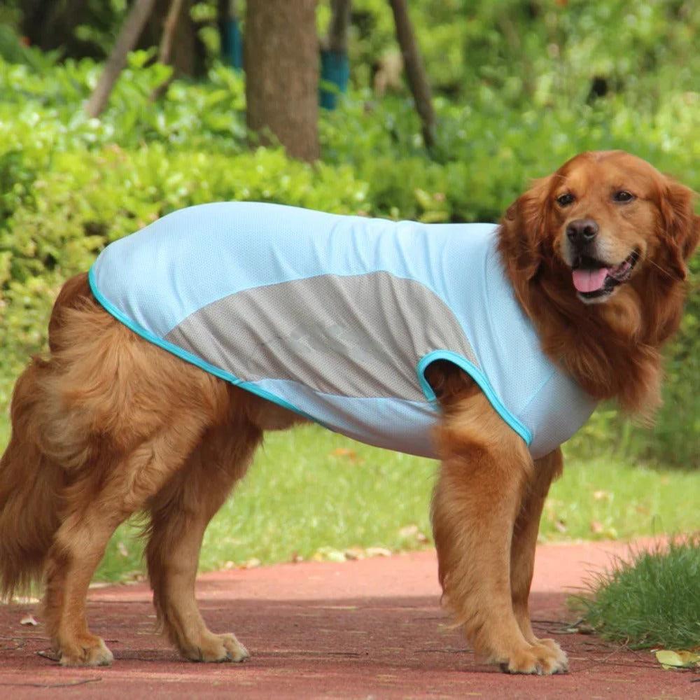 Unisex pet cooling vest, reflective for night safety, keeps dogs cool during warm outdoor adventures.