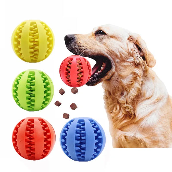 Unisex dog dental treat dispenser chew ball for dog oral health and enrichment