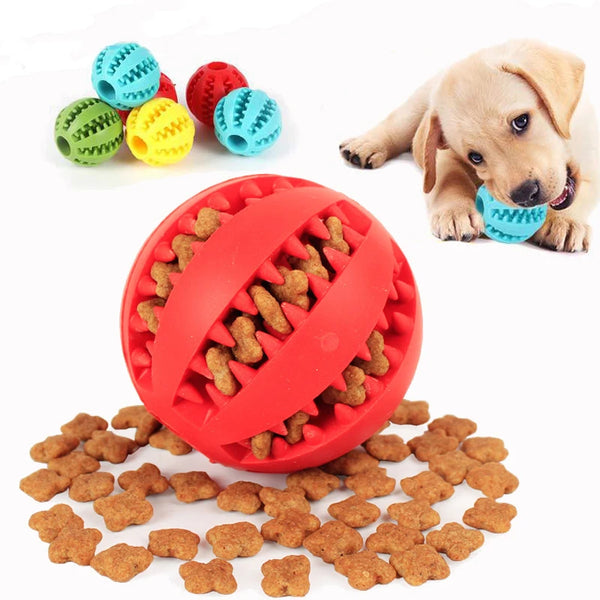 Interactive dog chew ball with treat dispenser promotes dental care in pets
