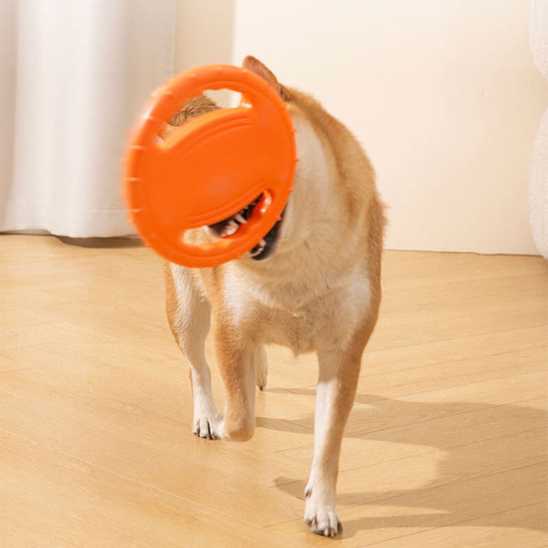 Lightweight dog flying disc, pink, perfect for interactive fetch games and outdoor fun.