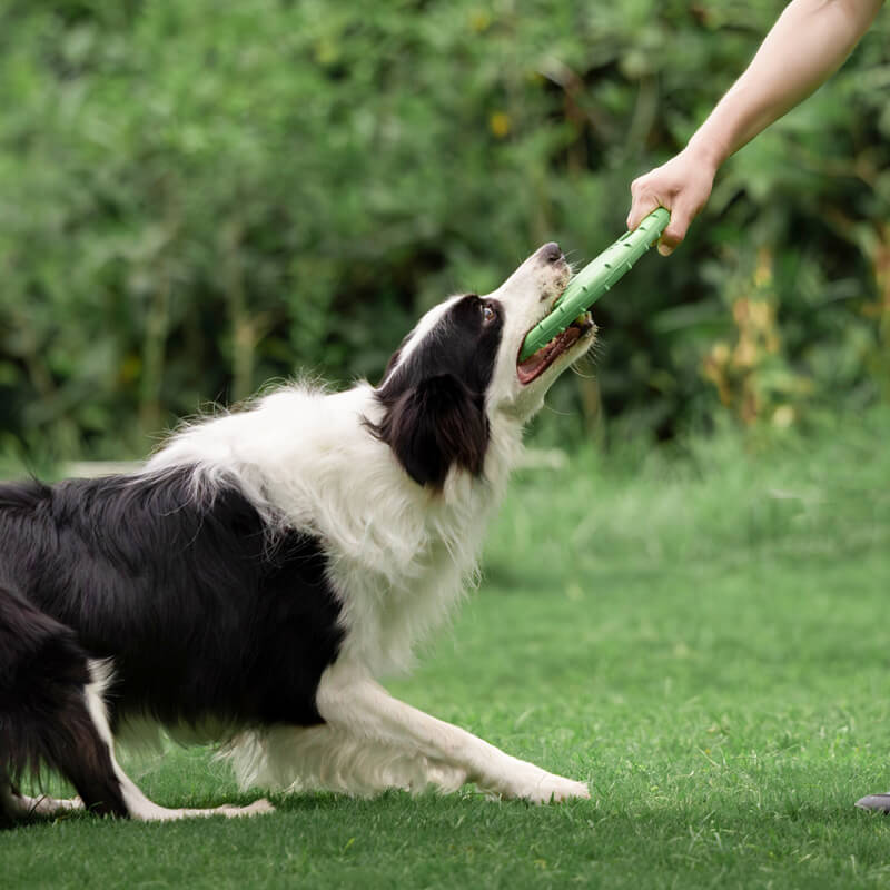 Flying disc dog toy, bright orange, perfect for fetch with pets, made from robust rubber.