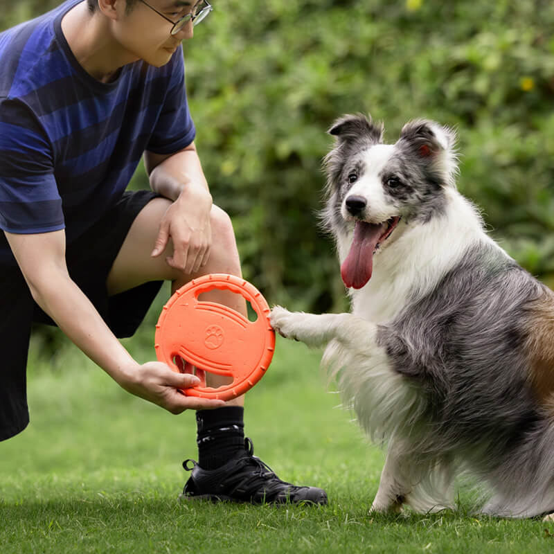 Interactive pet toy: yellow dog flying disc, lightweight and durable for outdoor fun.