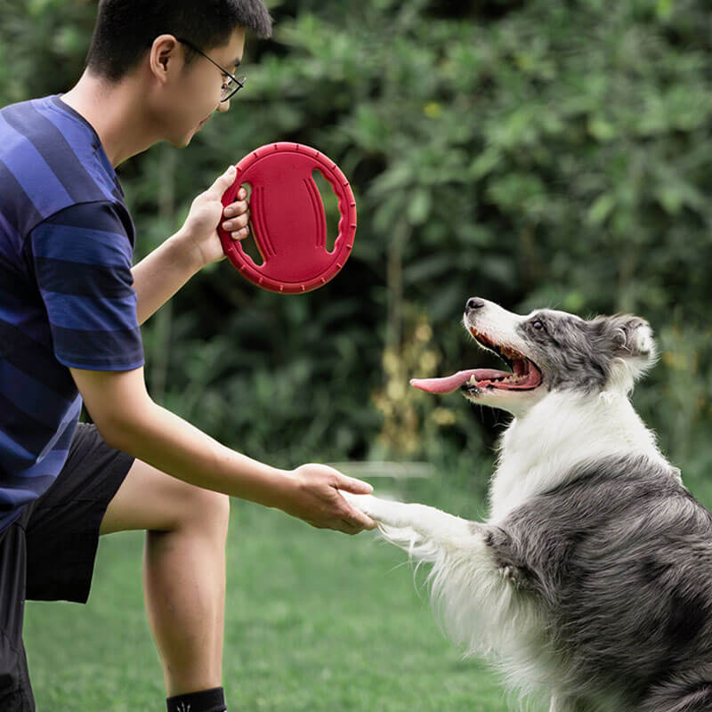 Blue rubber flying disc for dogs, ideal for fetch games, strong and long-lasting pet accessory.