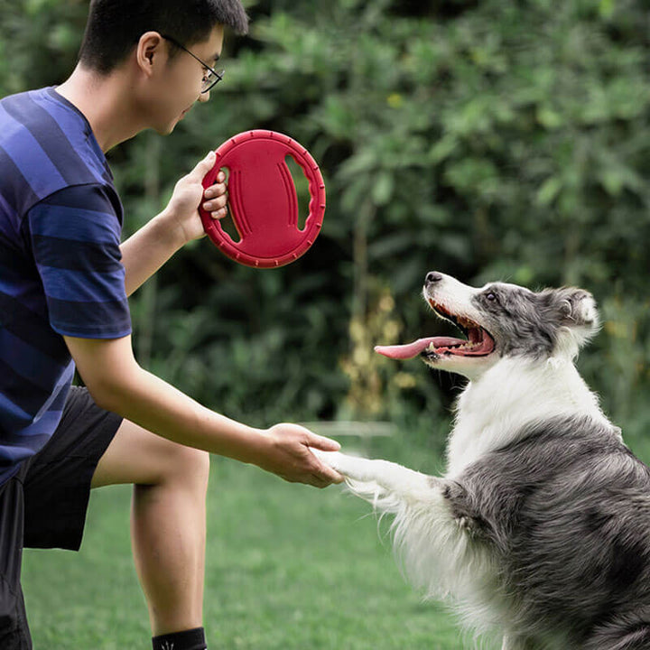 Blue rubber flying disc for dogs, ideal for fetch games, strong and long-lasting pet accessory.