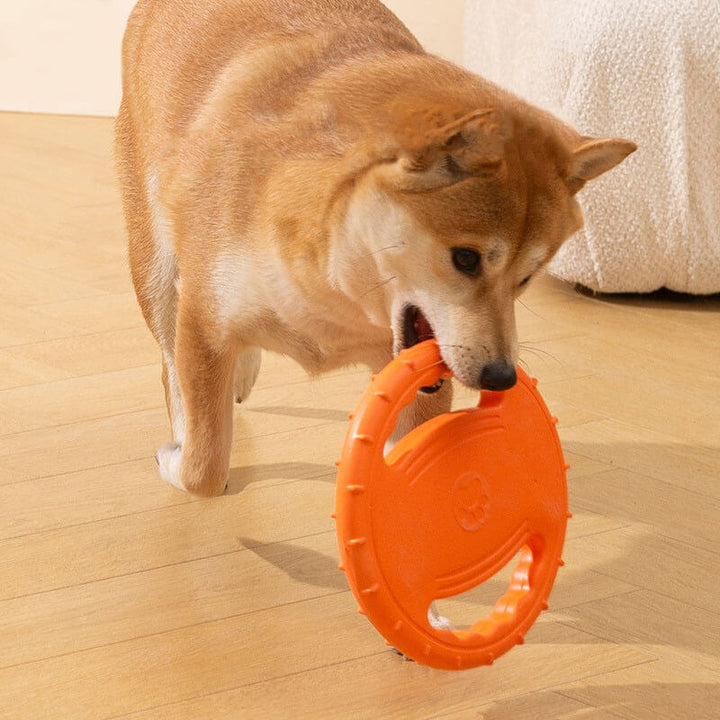 Flying disc dog toy, multi-colored, durable for active pets, great for outdoor play.