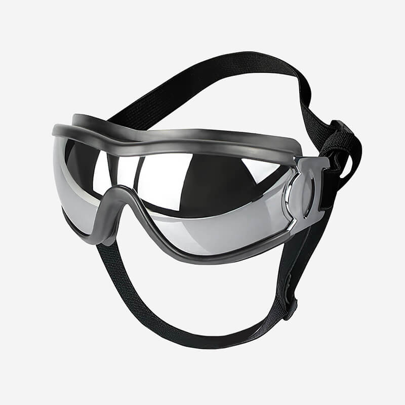 Unisex dog goggles for eye protection, UV, wind, and waterproof, on a golden retriever's head