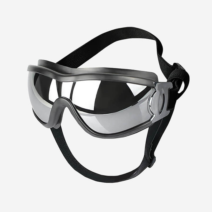 Unisex dog goggles for eye protection, UV, wind, and waterproof, on a golden retriever's head