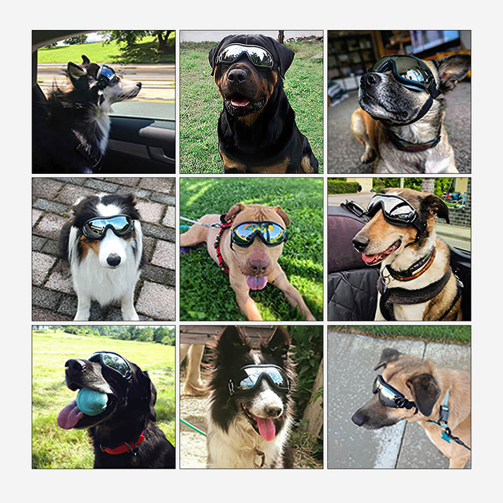 Front view of dog goggles, dog accessories designed for UV protection and comfort