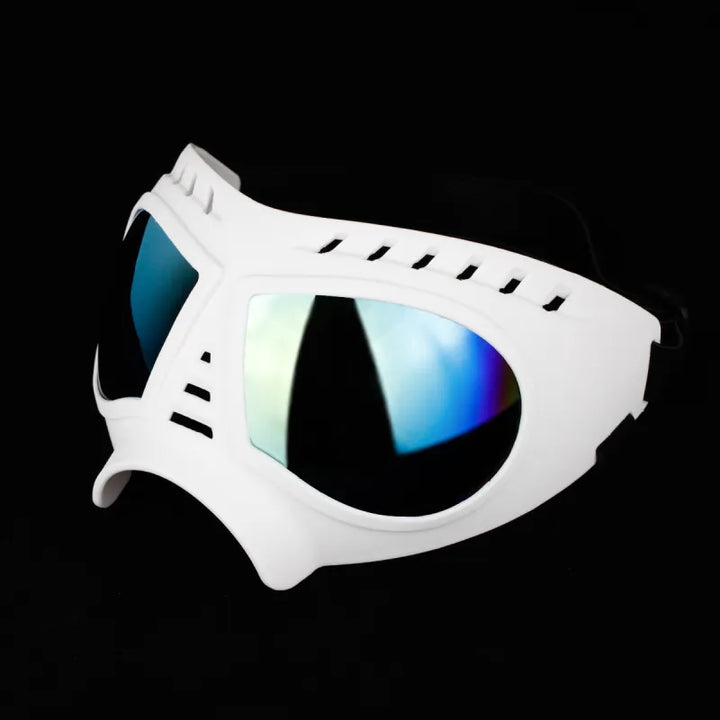 Dog eyewear, black frame dog goggles, offering UV protection for active pets