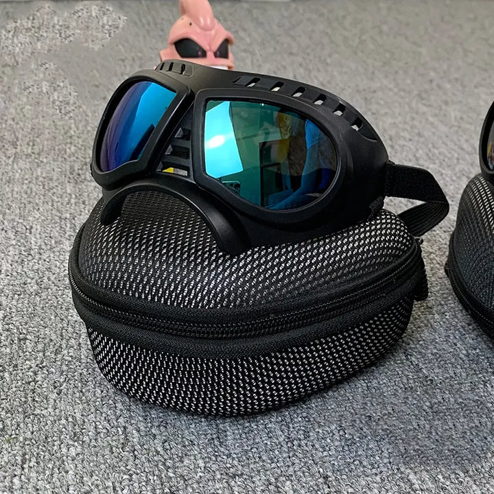 Close-up of pet eye protection goggles, clear lenses, adjustable strap for dogs