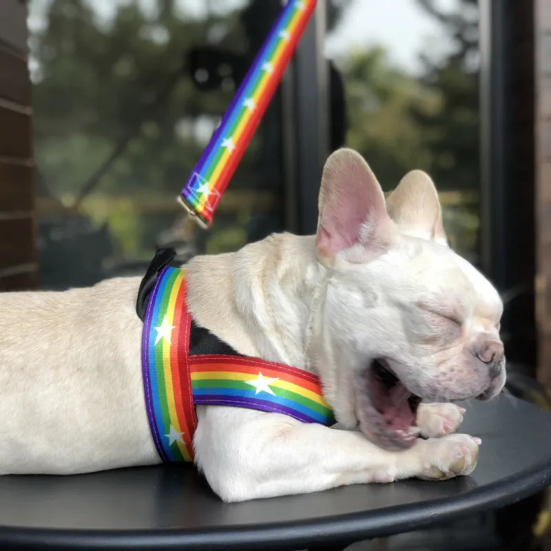 Close-up of rainbow and star pattern on a unisex dog harness, durable pet supplies