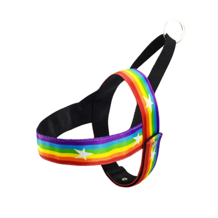 Colorful dog harness with rainbow stars, designed for pet comfort and easy walking