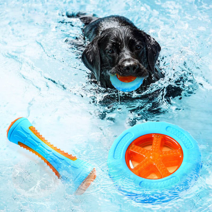 Unisex dog interactive chew toy, durable TPR, outdoor floating design for fetch, squeaky.