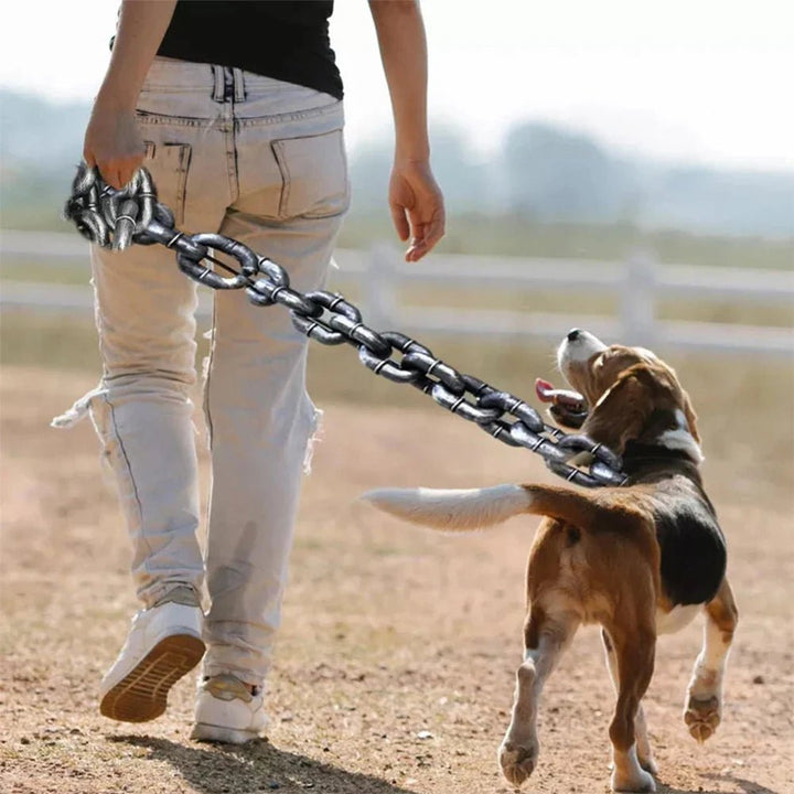 Stylish pet accessory: lightweight chain design dog leash perfect for daily walks