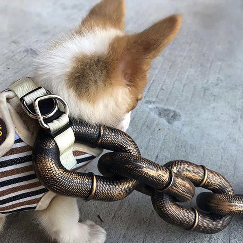 Fashionable plastic dog leash simulating a chain, a unique pet accessory for dogs