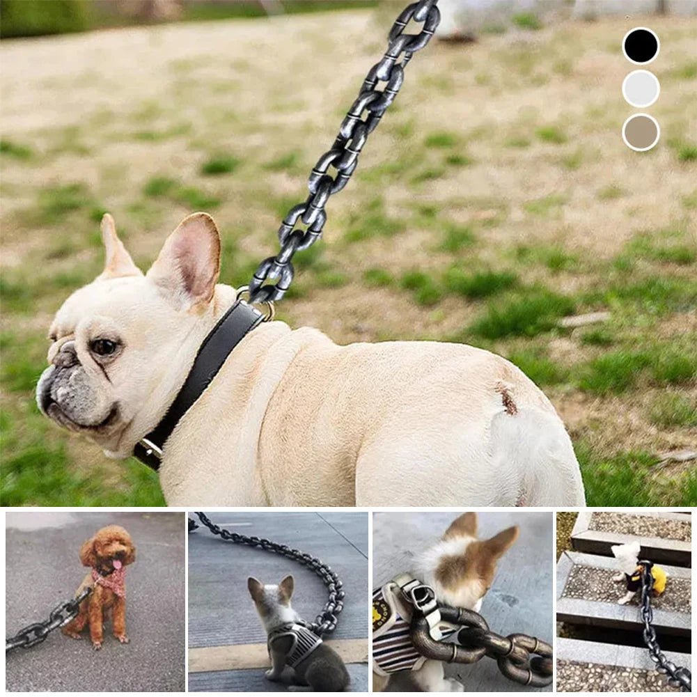 Showcasing the strength of a durable chain design dog leash, a reliable pet accessory