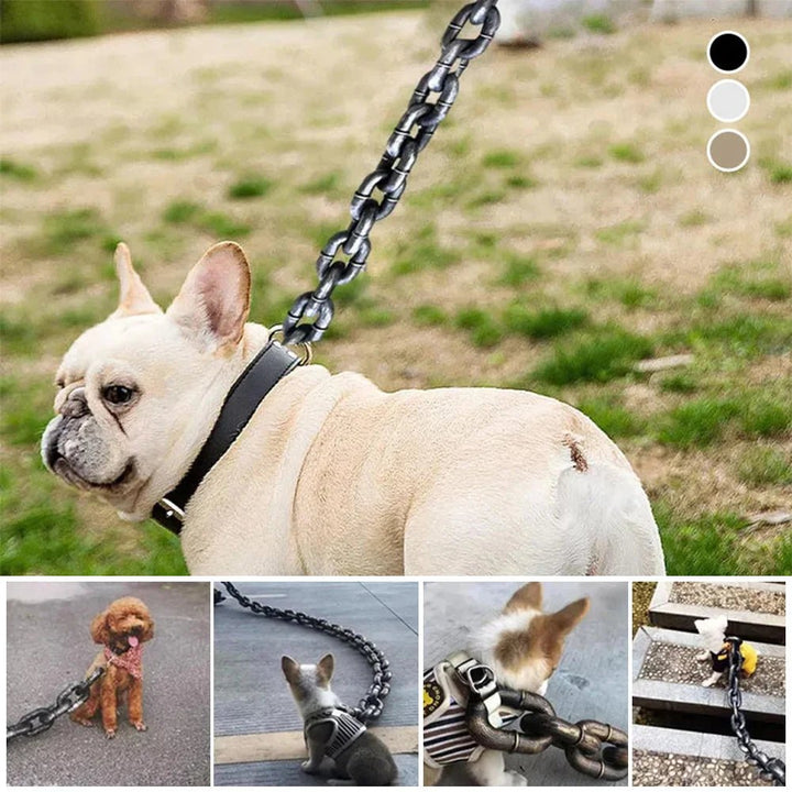 Showcasing the strength of a durable chain design dog leash, a reliable pet accessory