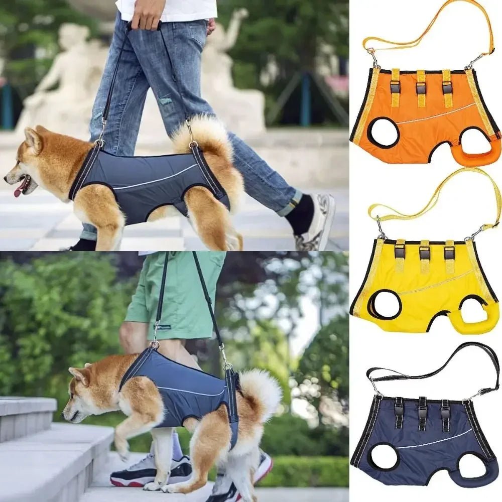 Breathable pet support harness for dogs, aids mobility during injury recovery.