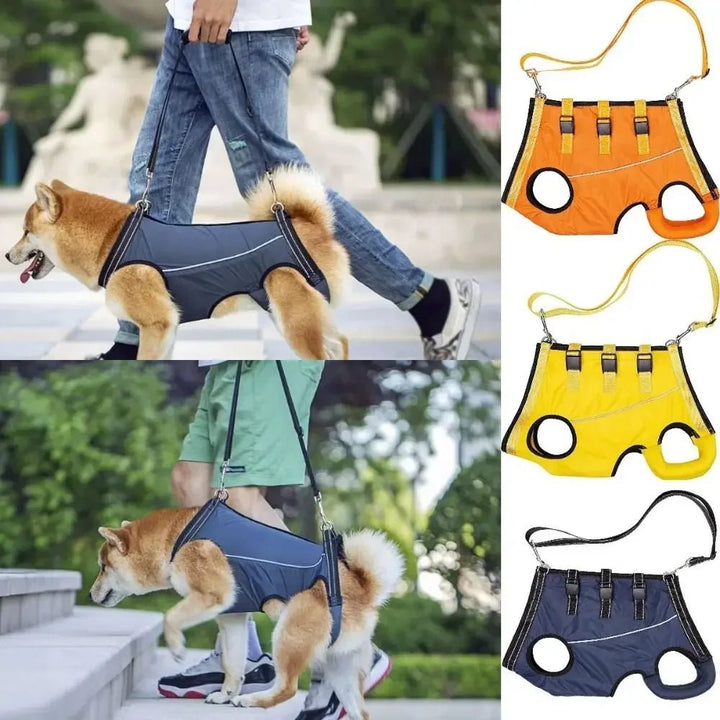 Breathable pet support harness for dogs, aids mobility during injury recovery.