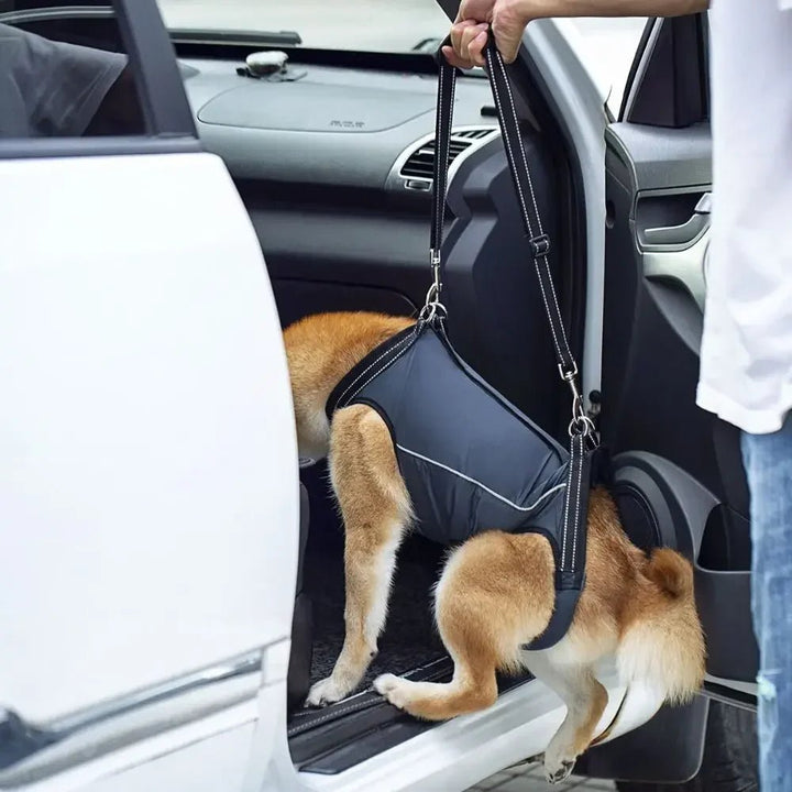 Dog mobility aid recovery vest in dacron, adjustable for comfortable pet support.