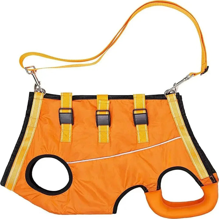 Senior dog support harness, unisex design, assists with injury recovery & mobility.
