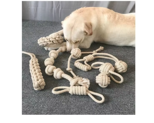 Close-up of a knotted rope dog toy, white and blue, promoting canine dental health.