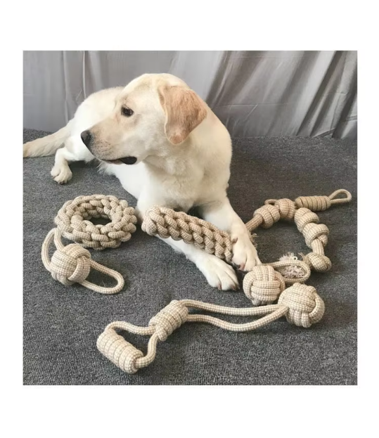 Braided rope dog chew toy, red and white, for interactive play and gum massage.