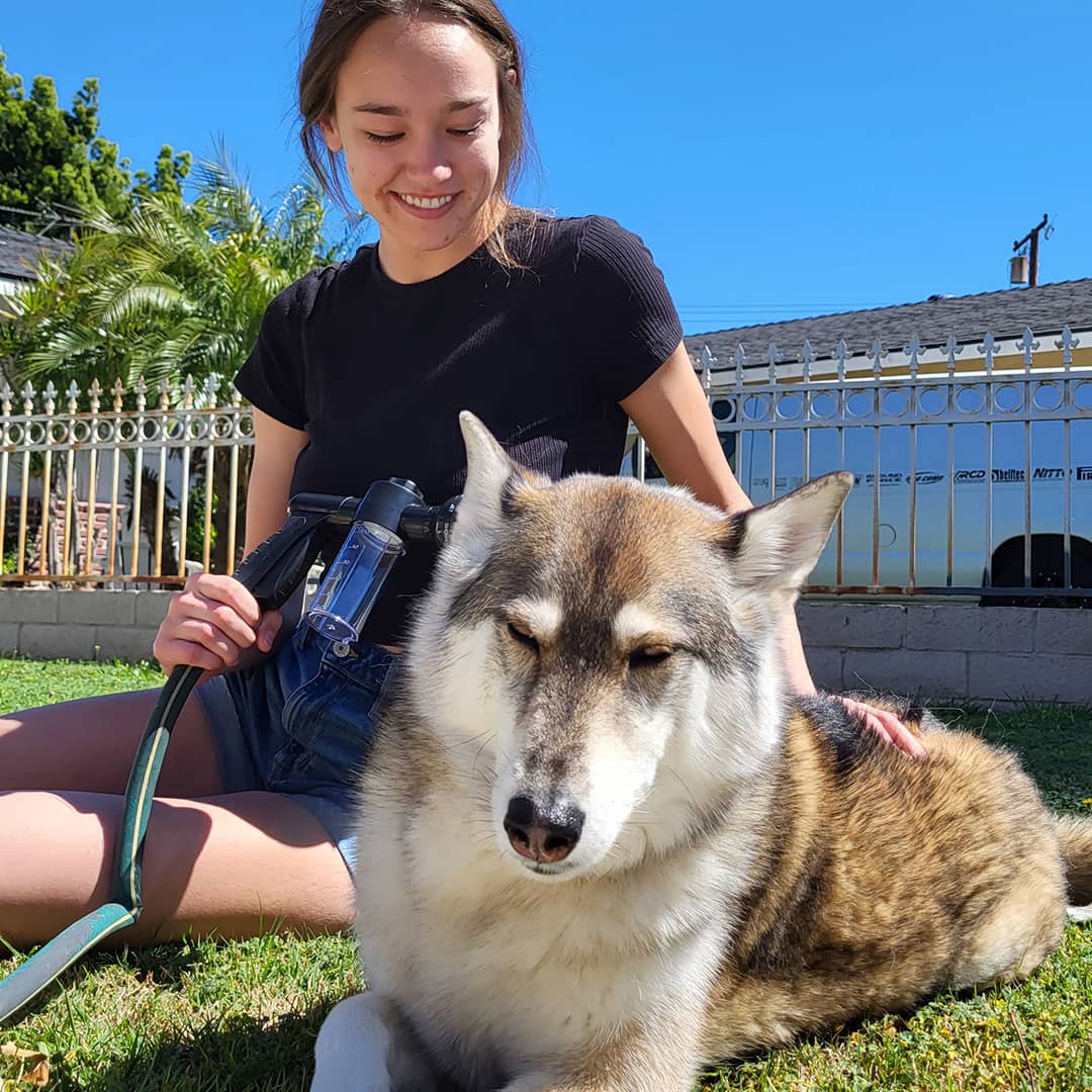 Easy clean dog shampoo spray head, essential pet supplies for hassle-free grooming.